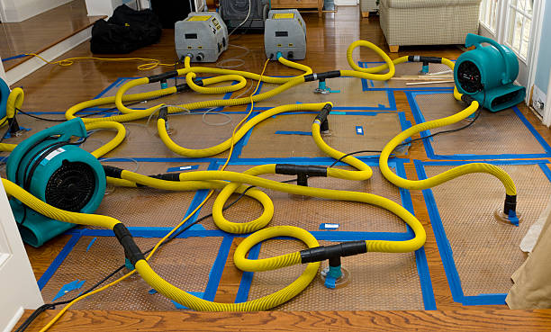 Professional Crawl Space Water Removal technician working in Brewster, MA